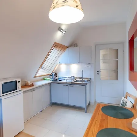 Rys W Centrum Apartzakop