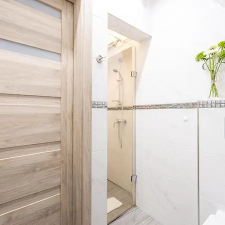 Rys W Centrum Apartzakop Apartmán Zakopane