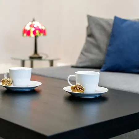 Rys W Centrum Apartzakop *