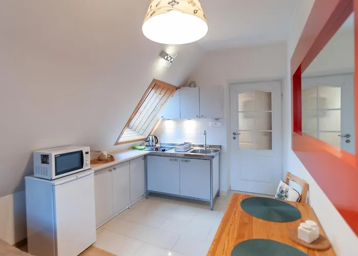 Rys W Centrum Apartzakop