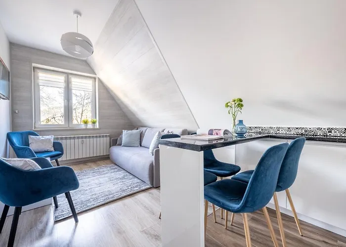 Rys W Centrum Apartzakop זקופאנה