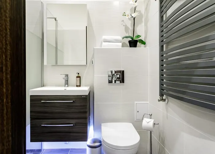 Rys W Centrum Apartzakop